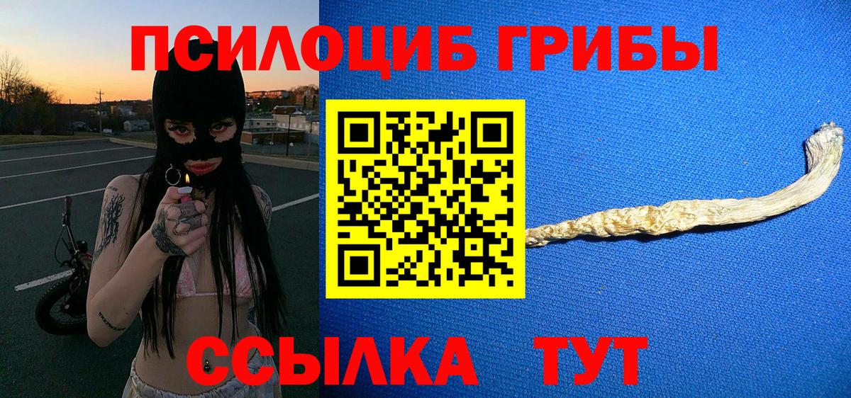 Галлюциногенные грибы мухоморы Светлоград